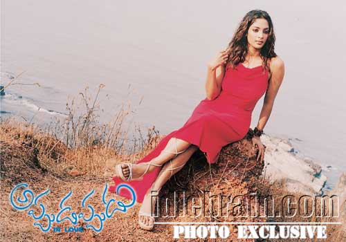 appudappudu - raja - shriya reddy