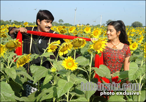 Srikanth's new film