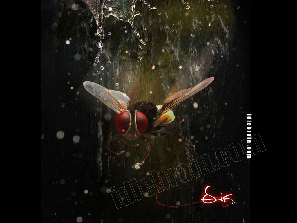 Eega