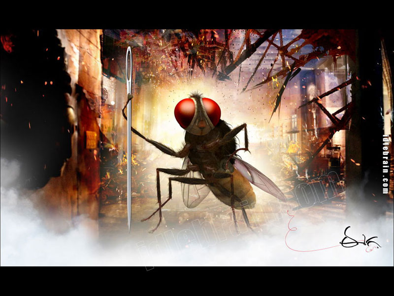 Eega