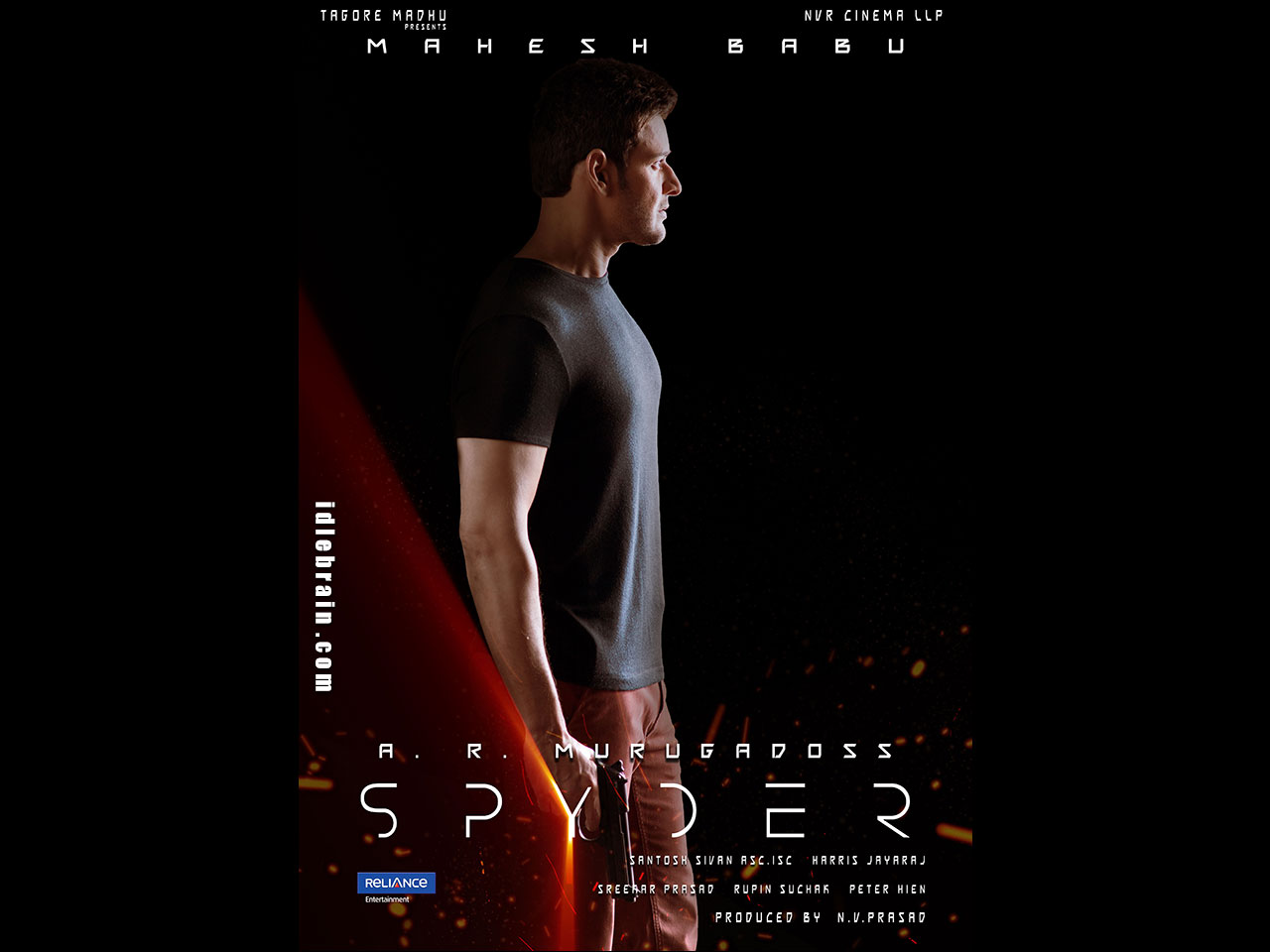 Spyder Wallpapers